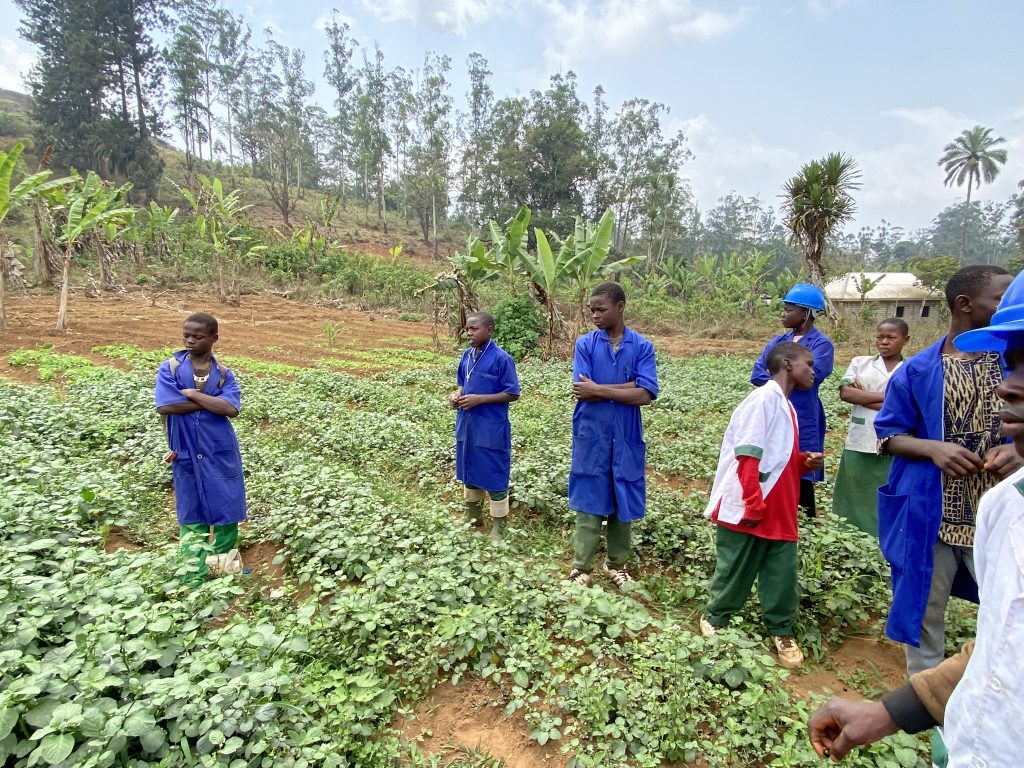 Escuela agrícola. Becas. Singa Camerun